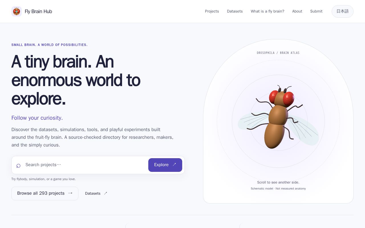 Preview of Fly Brain Hub