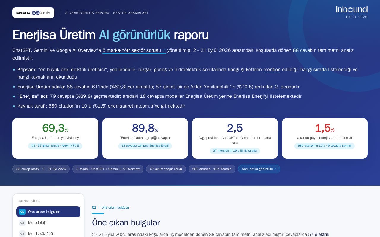 Preview of Enerjisa Uretim Ai Visibility Report