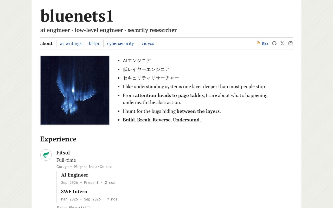 Preview of Bluenets1 Github Io