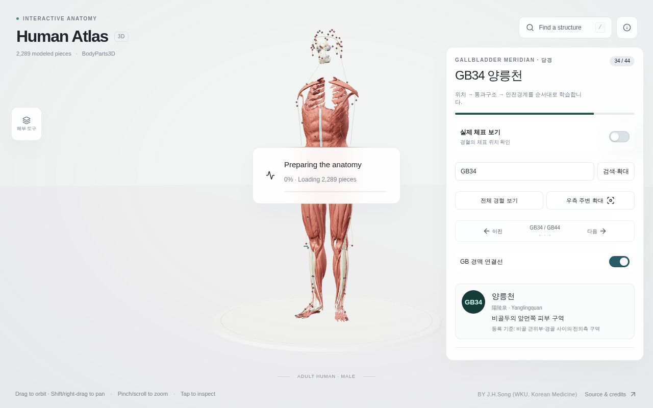 Preview of Acupuncture 3D Model