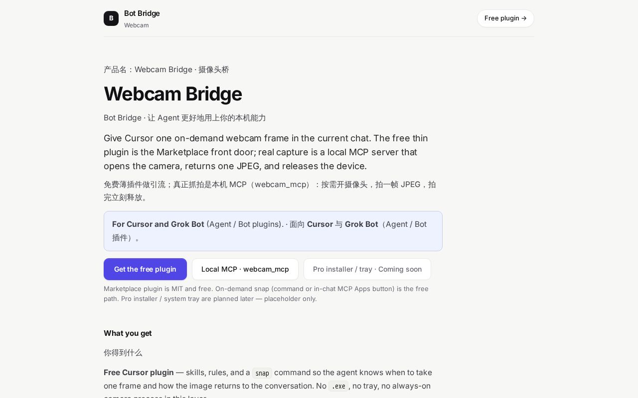 Preview of Botbridge Webcam Vscode