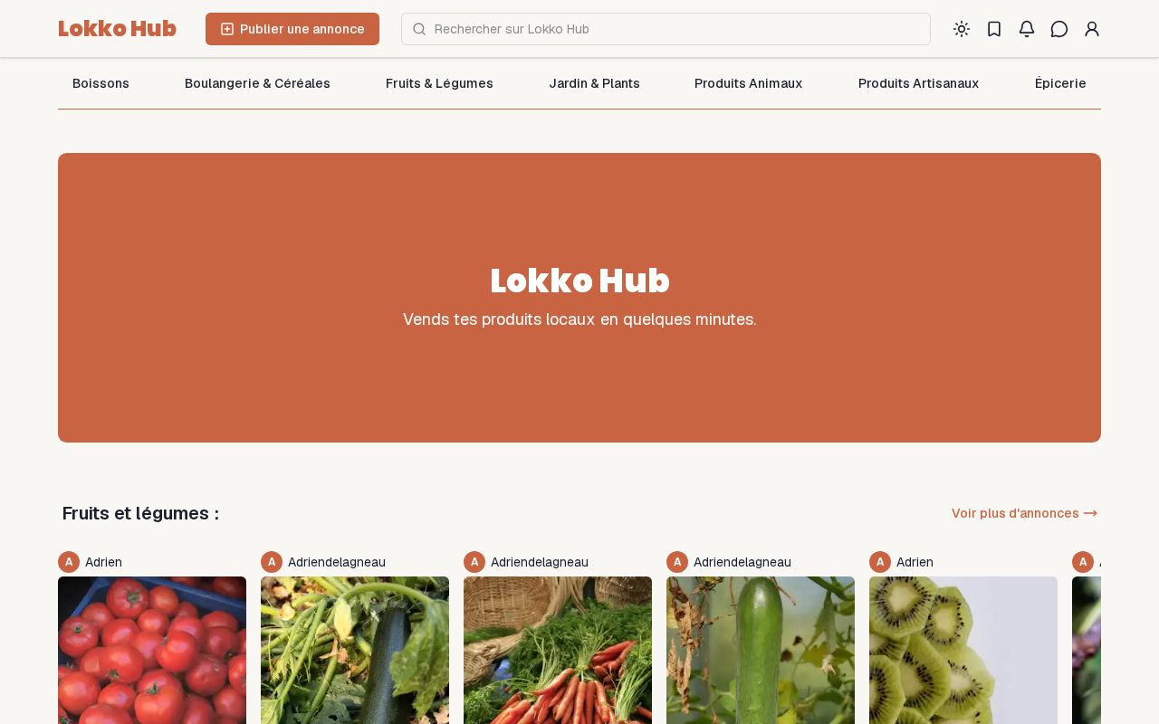 Preview of Lokko Hub