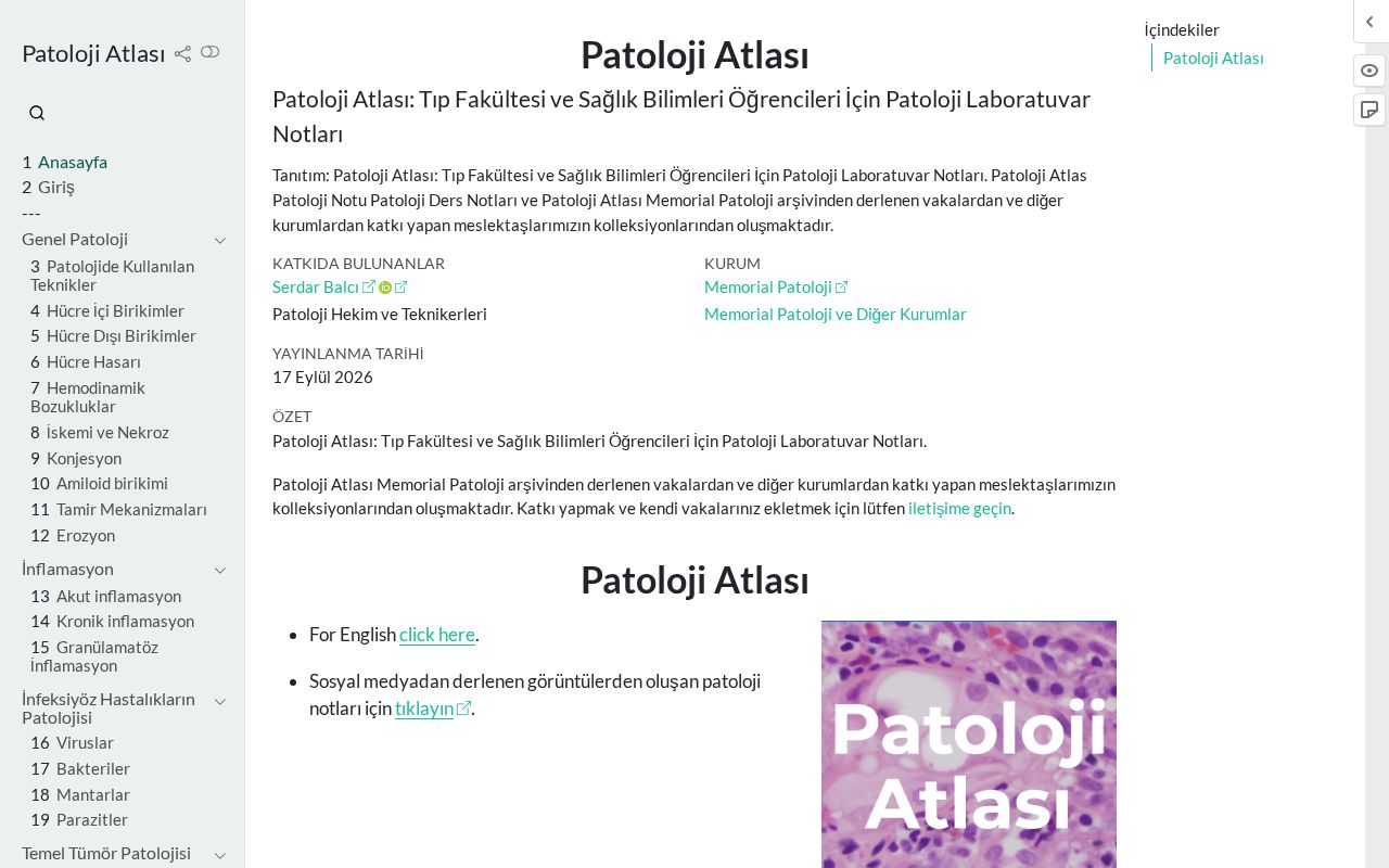 Preview of Atlas Mcp