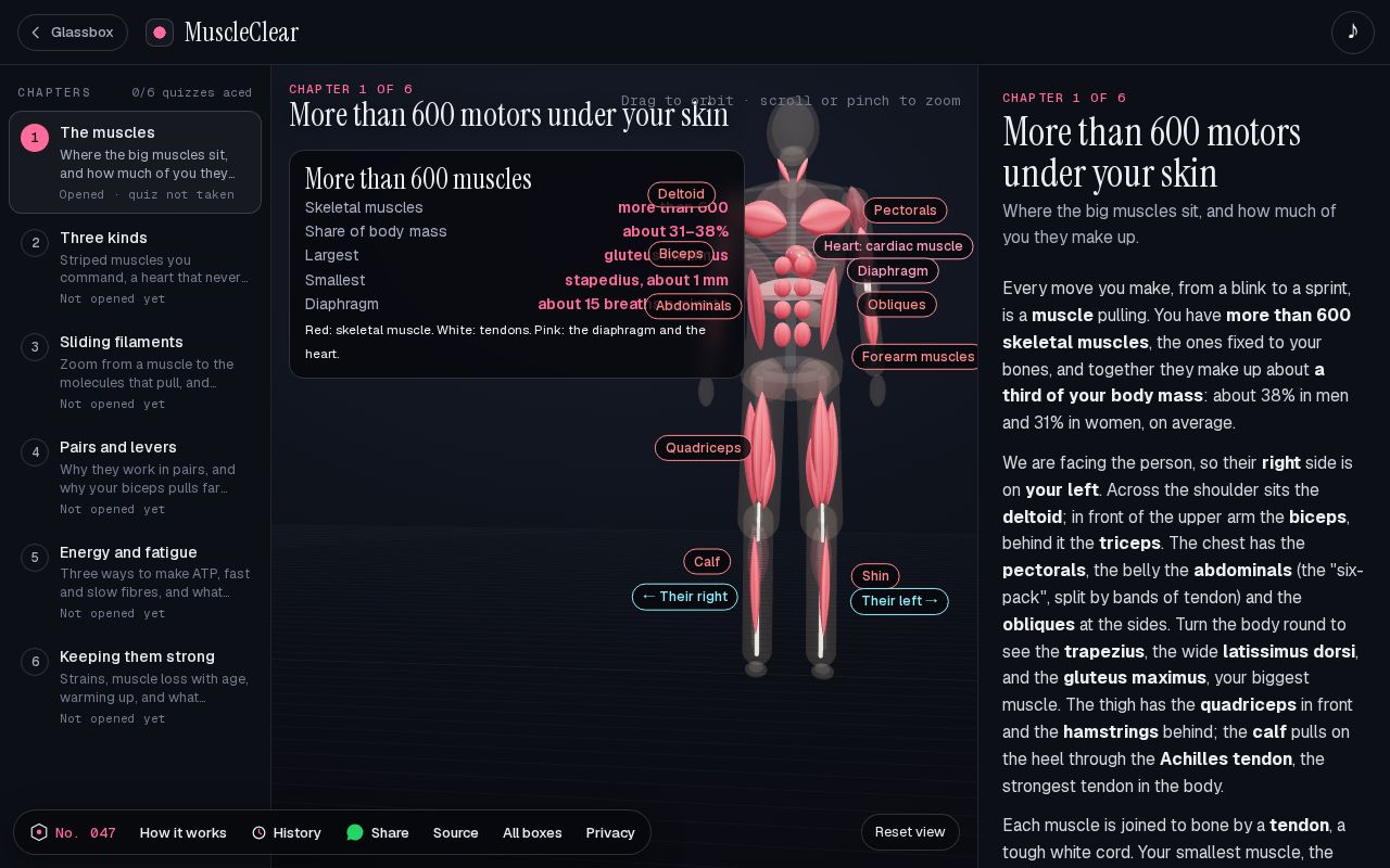 Preview of MuscleClear: How do your muscles move you?