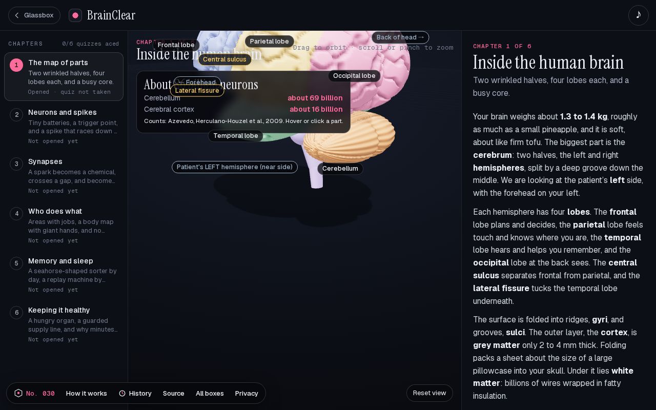 Preview of BrainClear: How does the brain work?