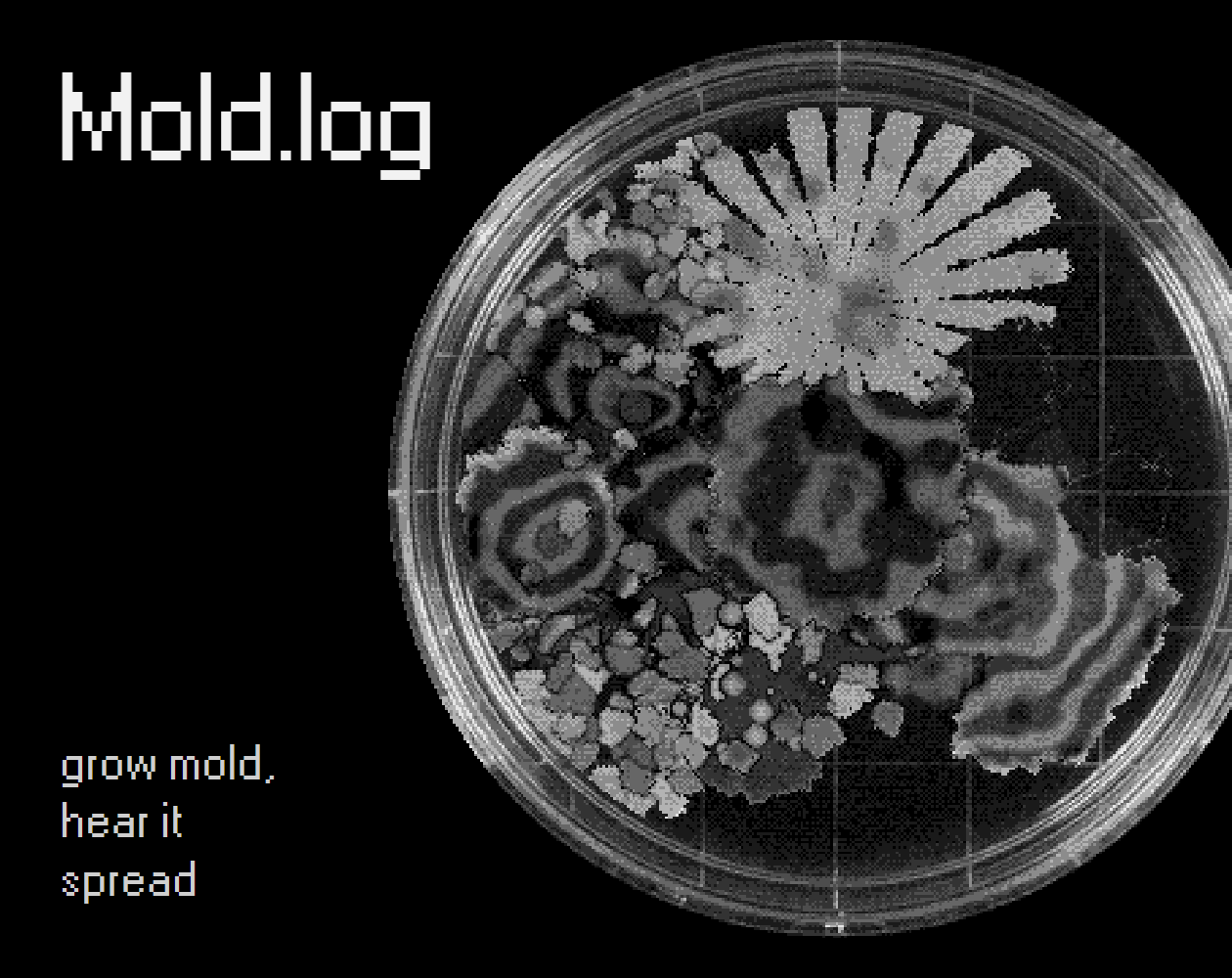 Preview of Mold.log
