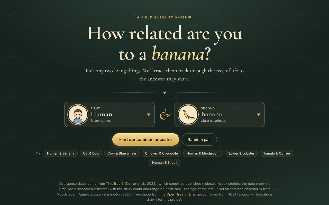 Preview of How Related