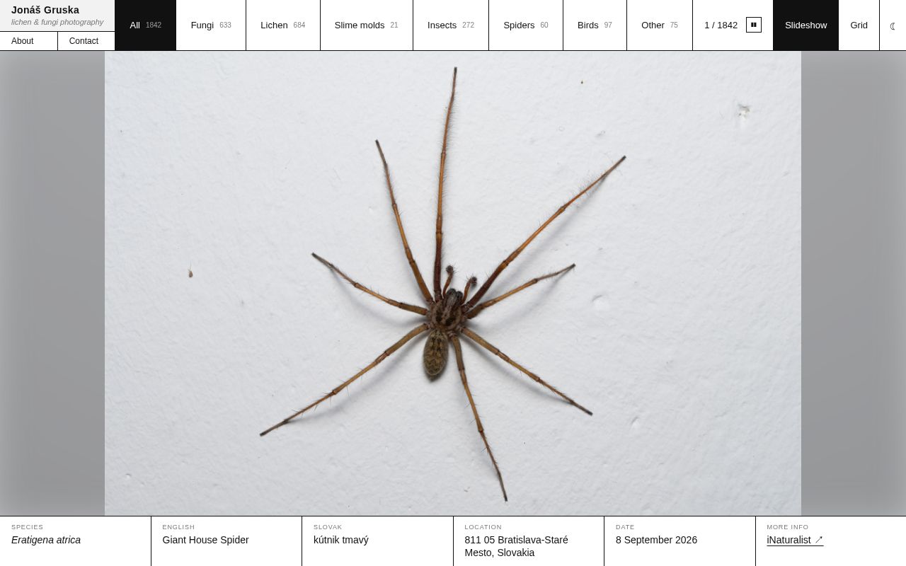 Preview of Nature photography portfolio built from iNaturalist observations