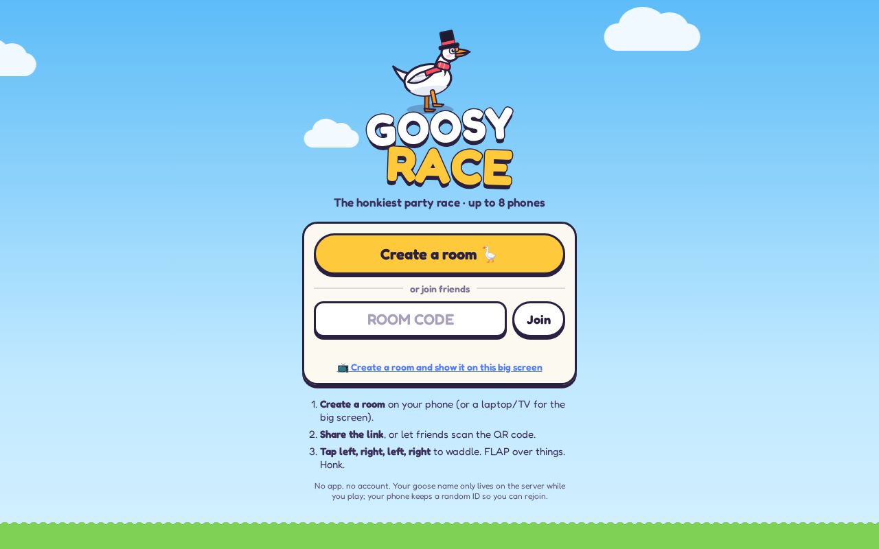 Preview of Goosy Race