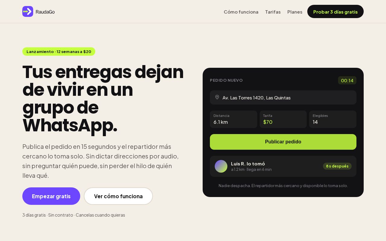 Preview of Raudago Negocio