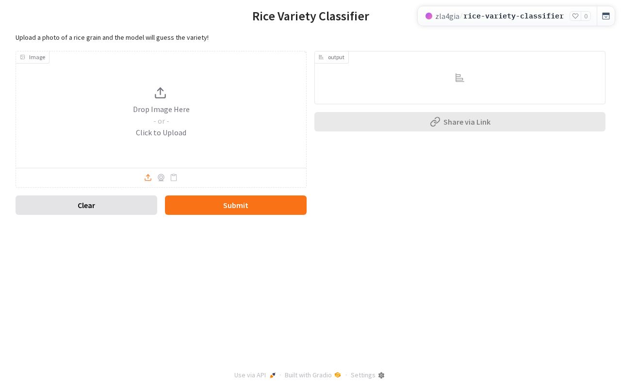 Preview of Rice Variety Classifier