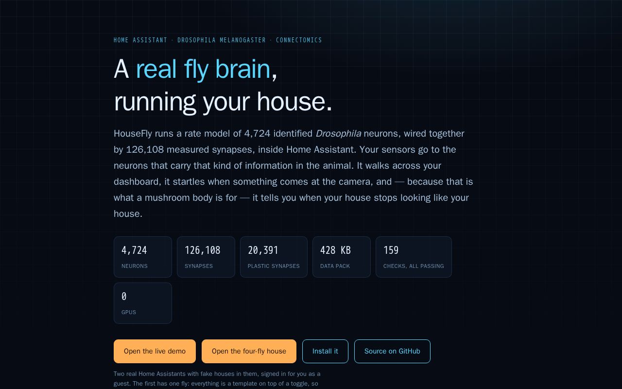 Preview of HouseFly