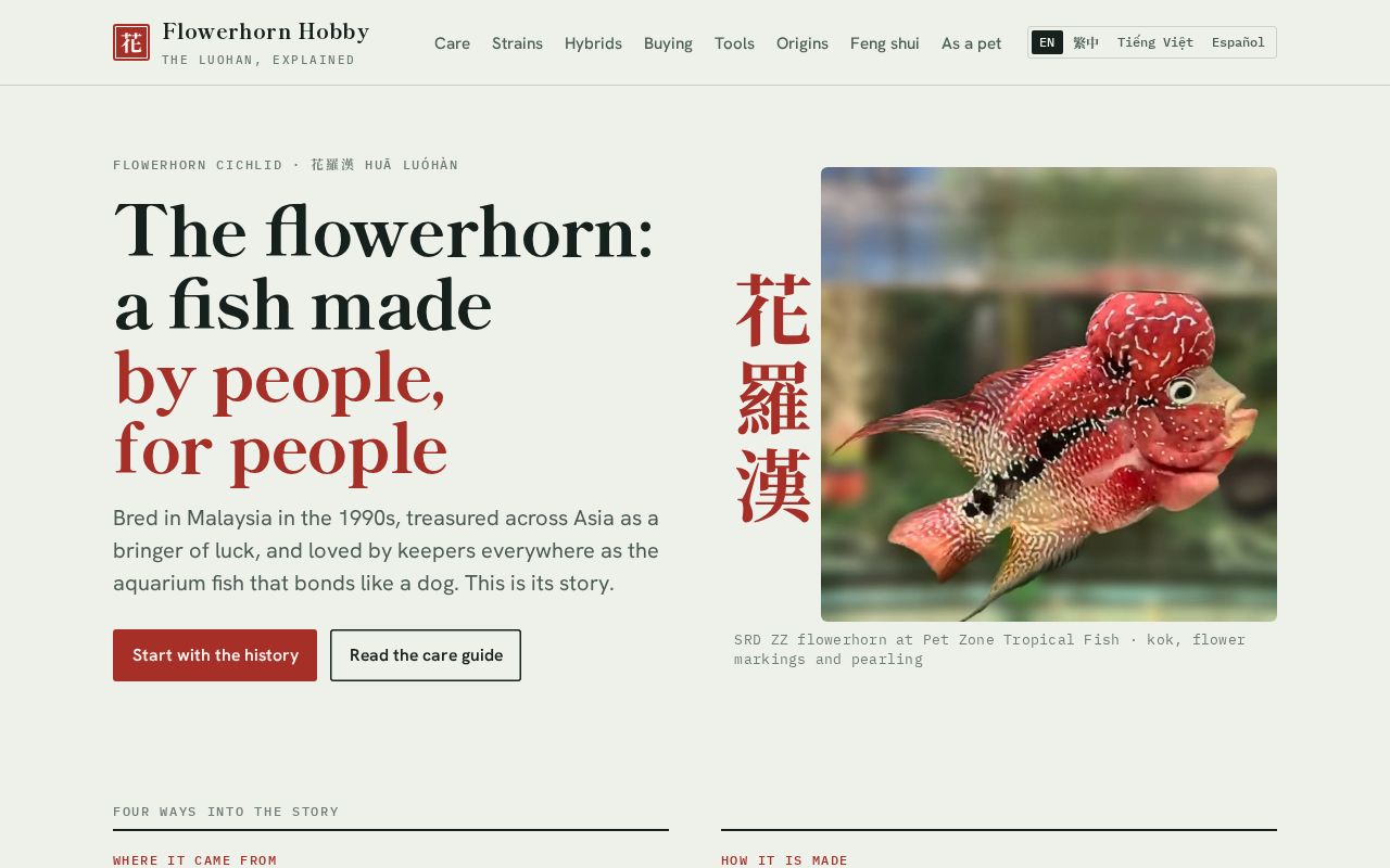 Preview of Flowerhornhobby