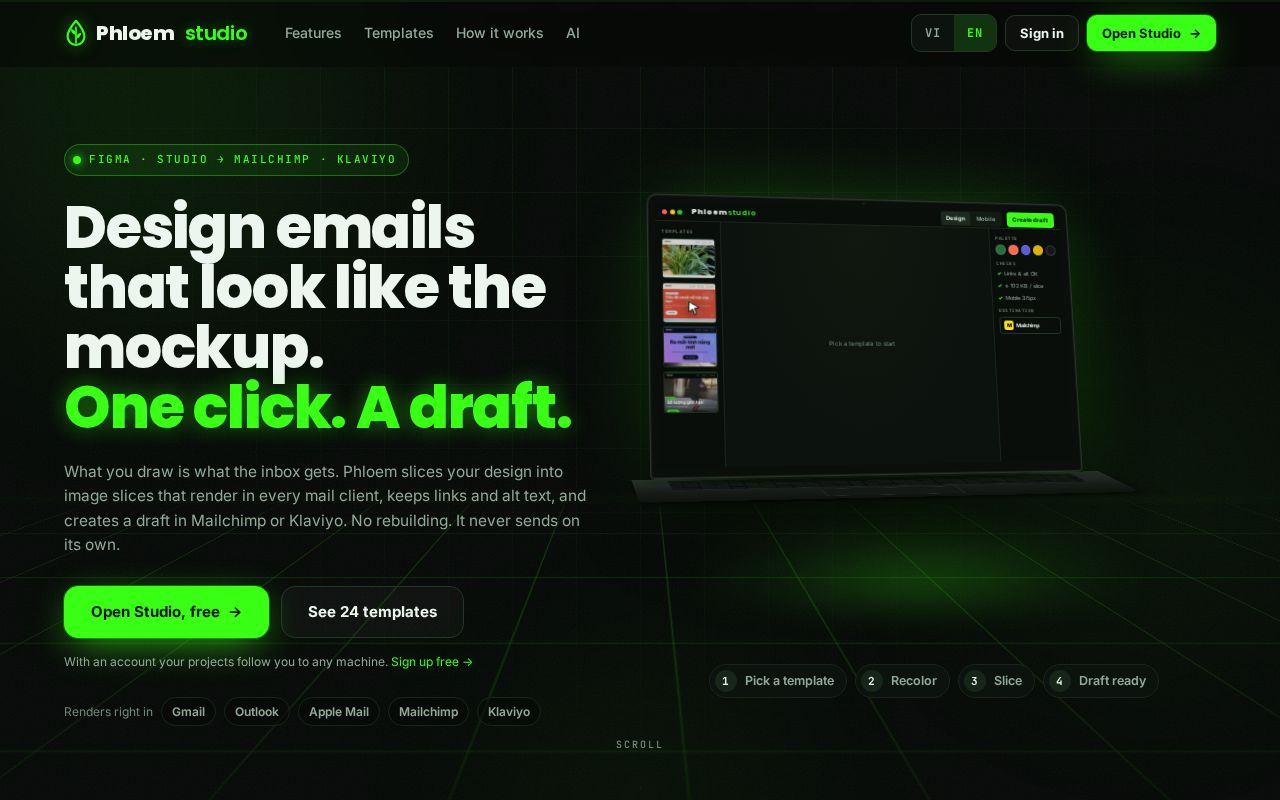 Preview of Phloem