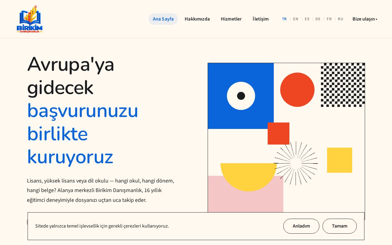 Preview of Birikimdanismanlik