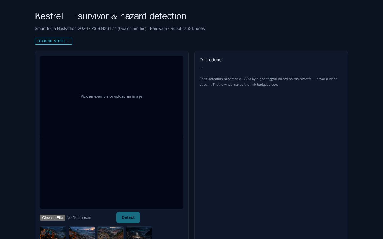Preview of Kestrel Survivor Detection