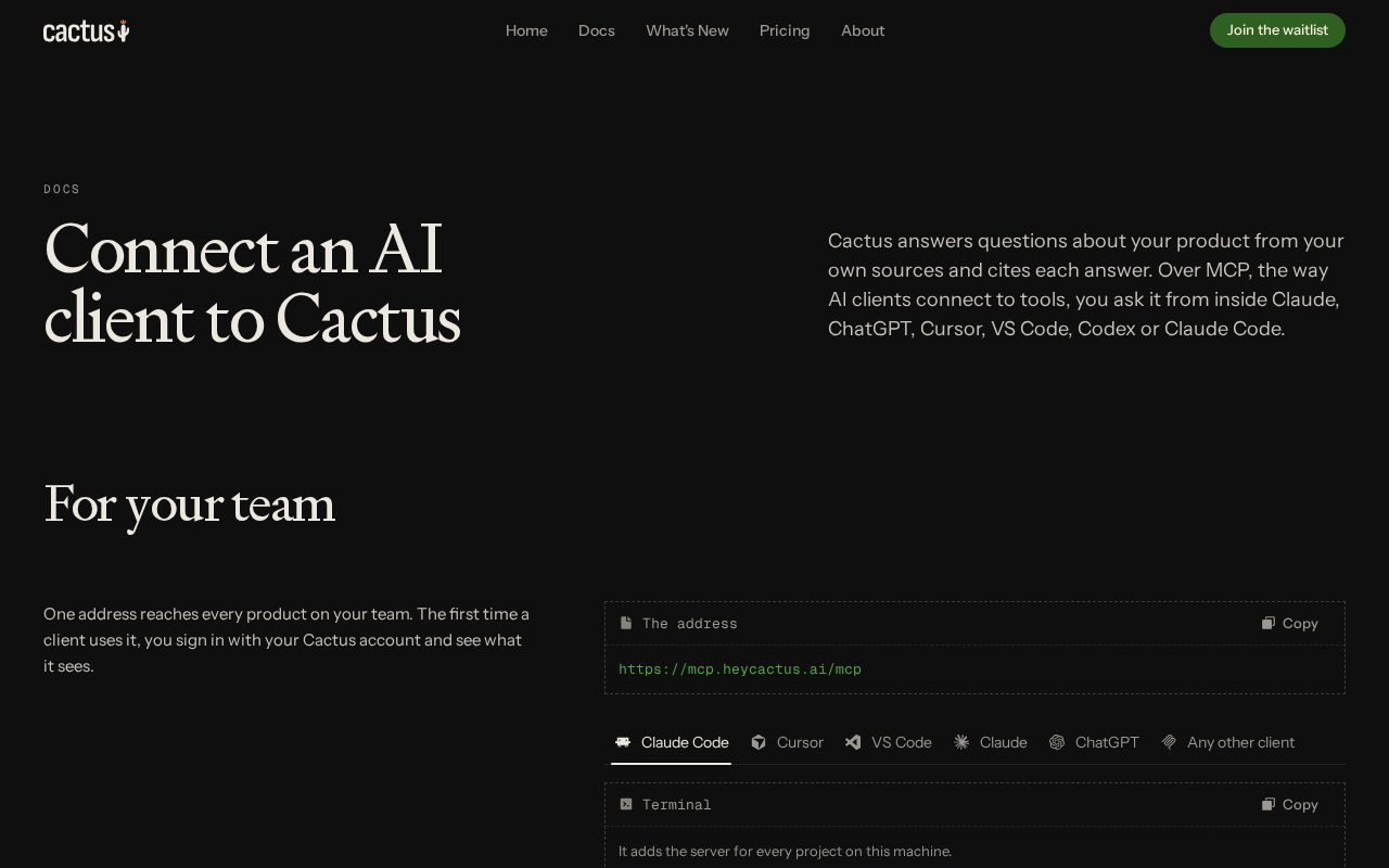 Preview of Cactus Mcp