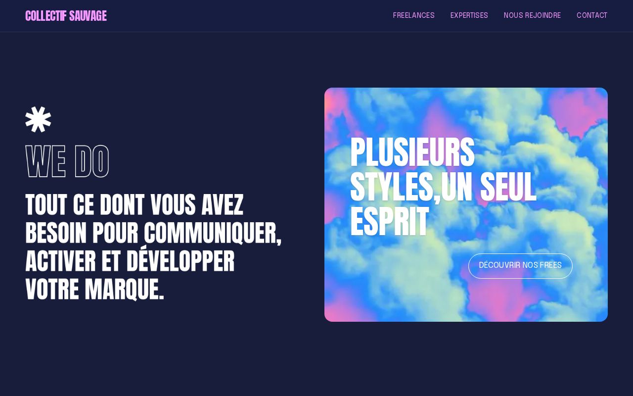 Preview of Collectif Sauvage Site