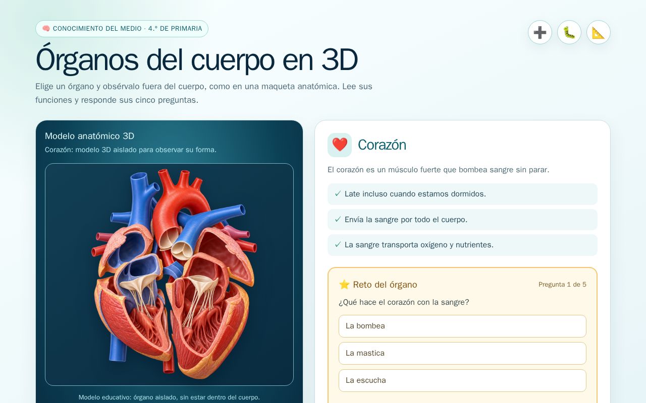Preview of Educacion De Conocimiento Del Medio