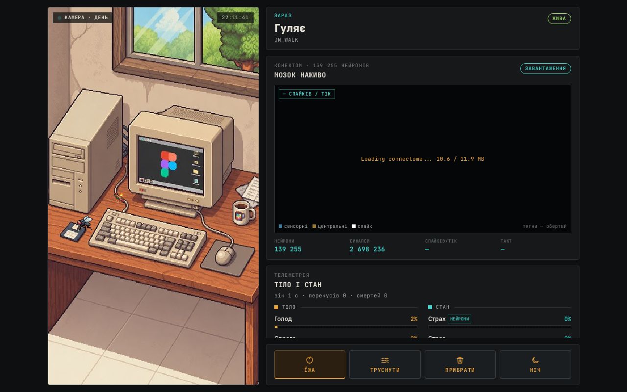 Preview of FlyBrainGame