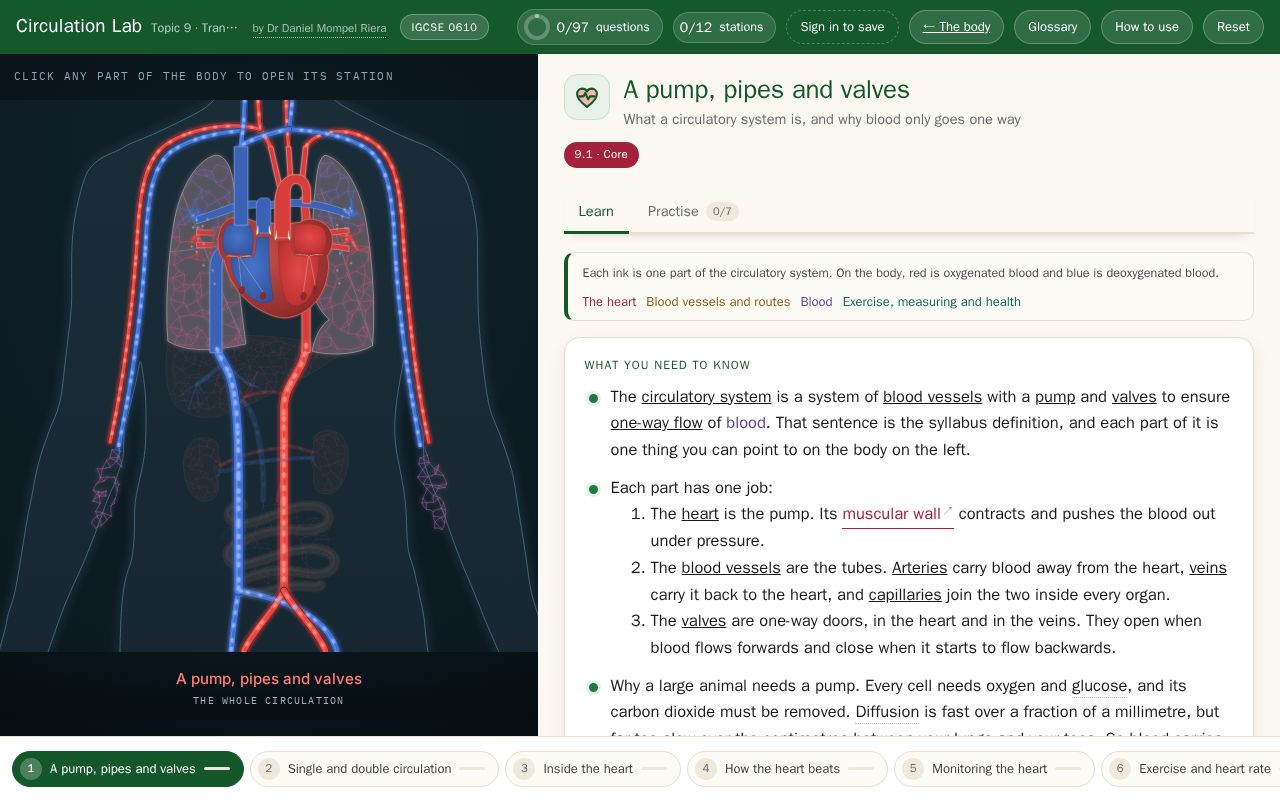 Preview of Circulation Lab