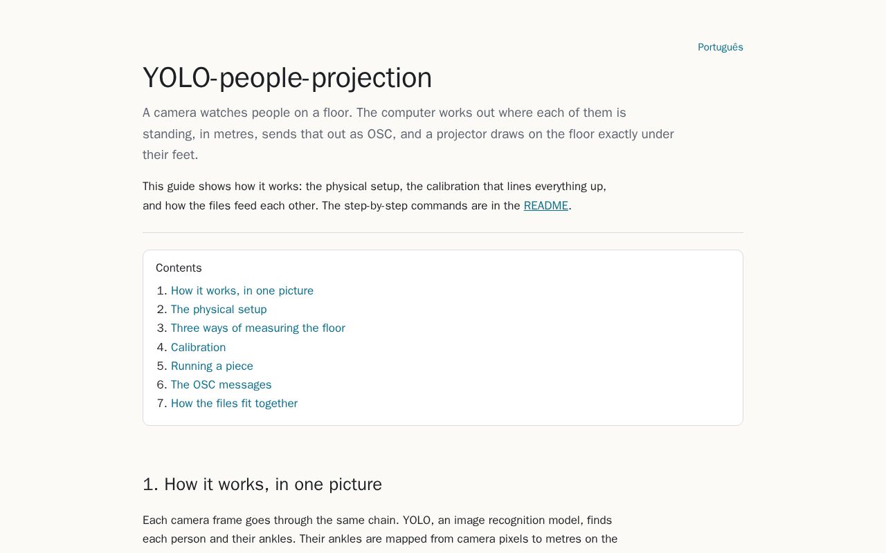 Preview of YOLO People Projection