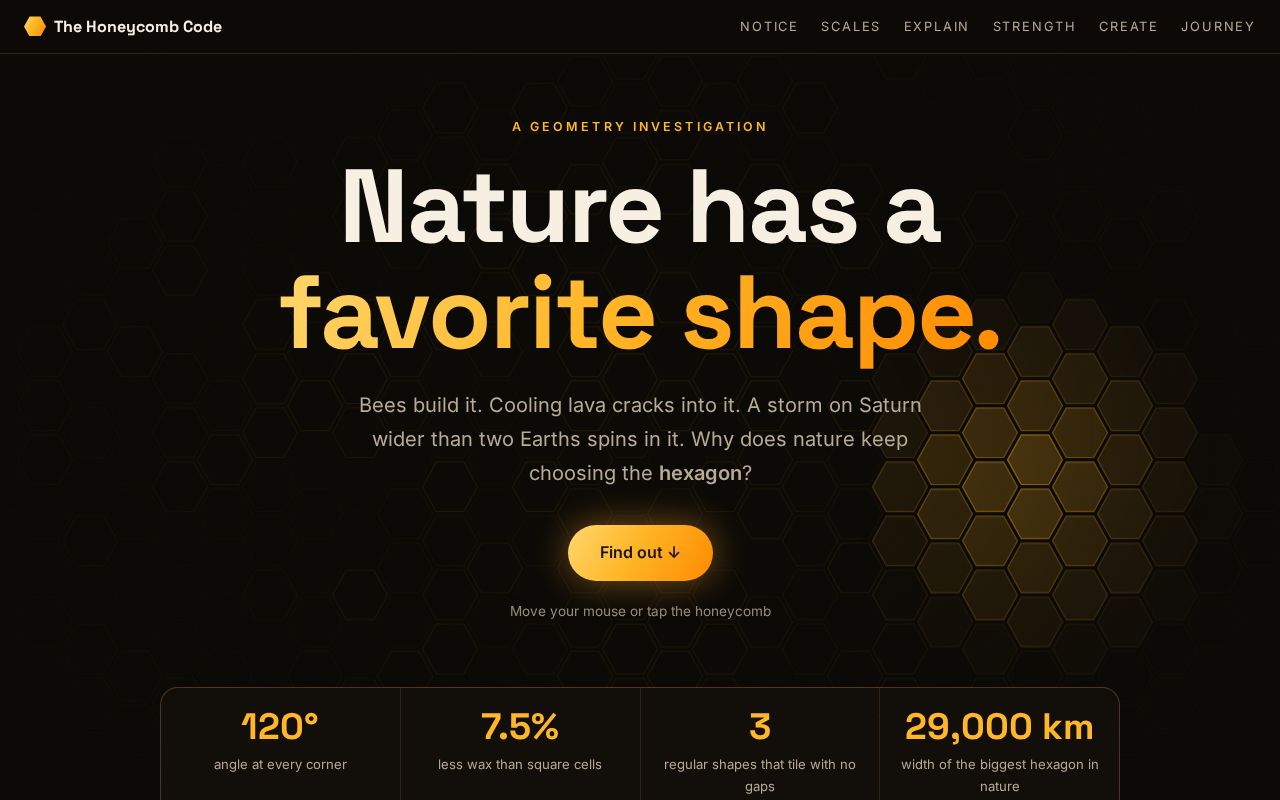 Preview of Hexagon Geometry Project