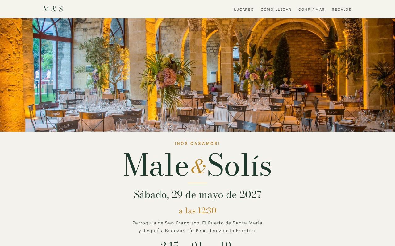 Preview of Maleysolis Com