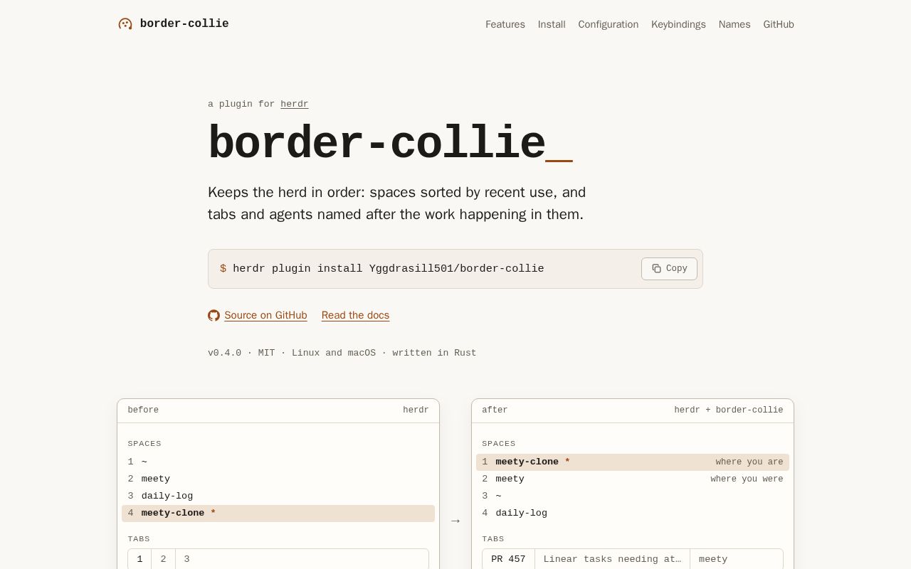 Preview of Border Collie