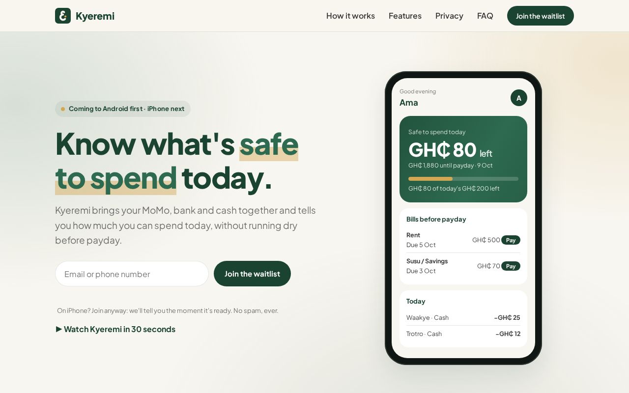 Preview of Kyeremi Website