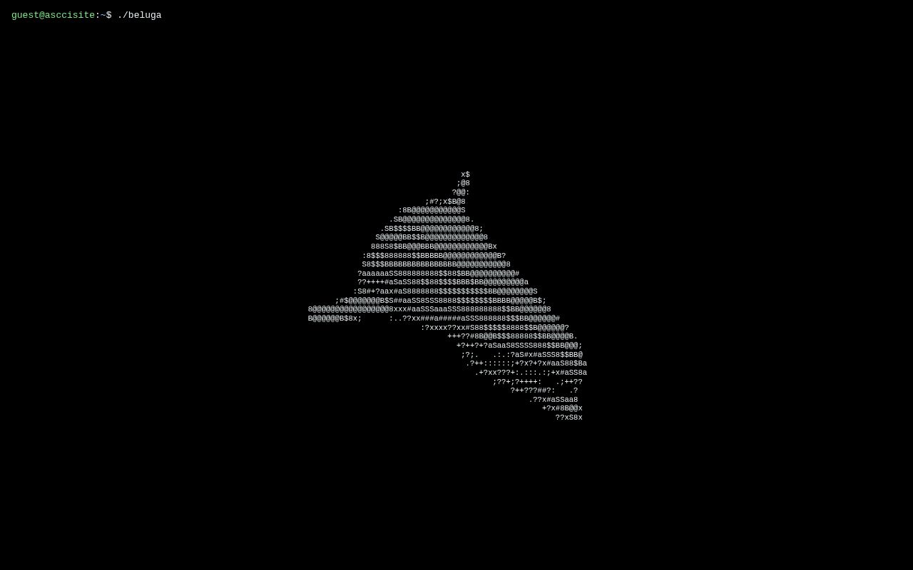 Preview of AscciSite