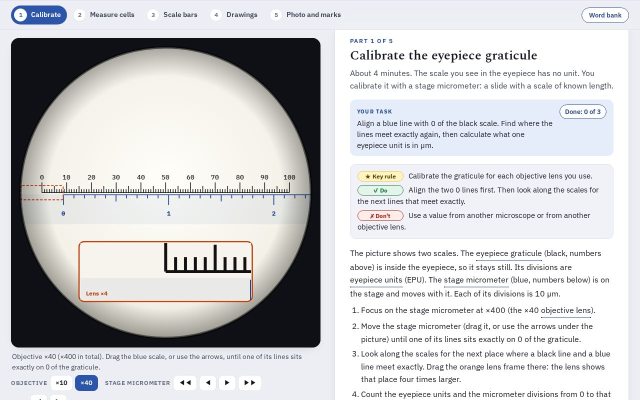 Preview of A22 Microscopy Skills Pract