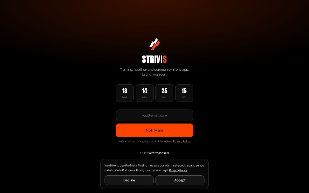 Preview of Strivis Website