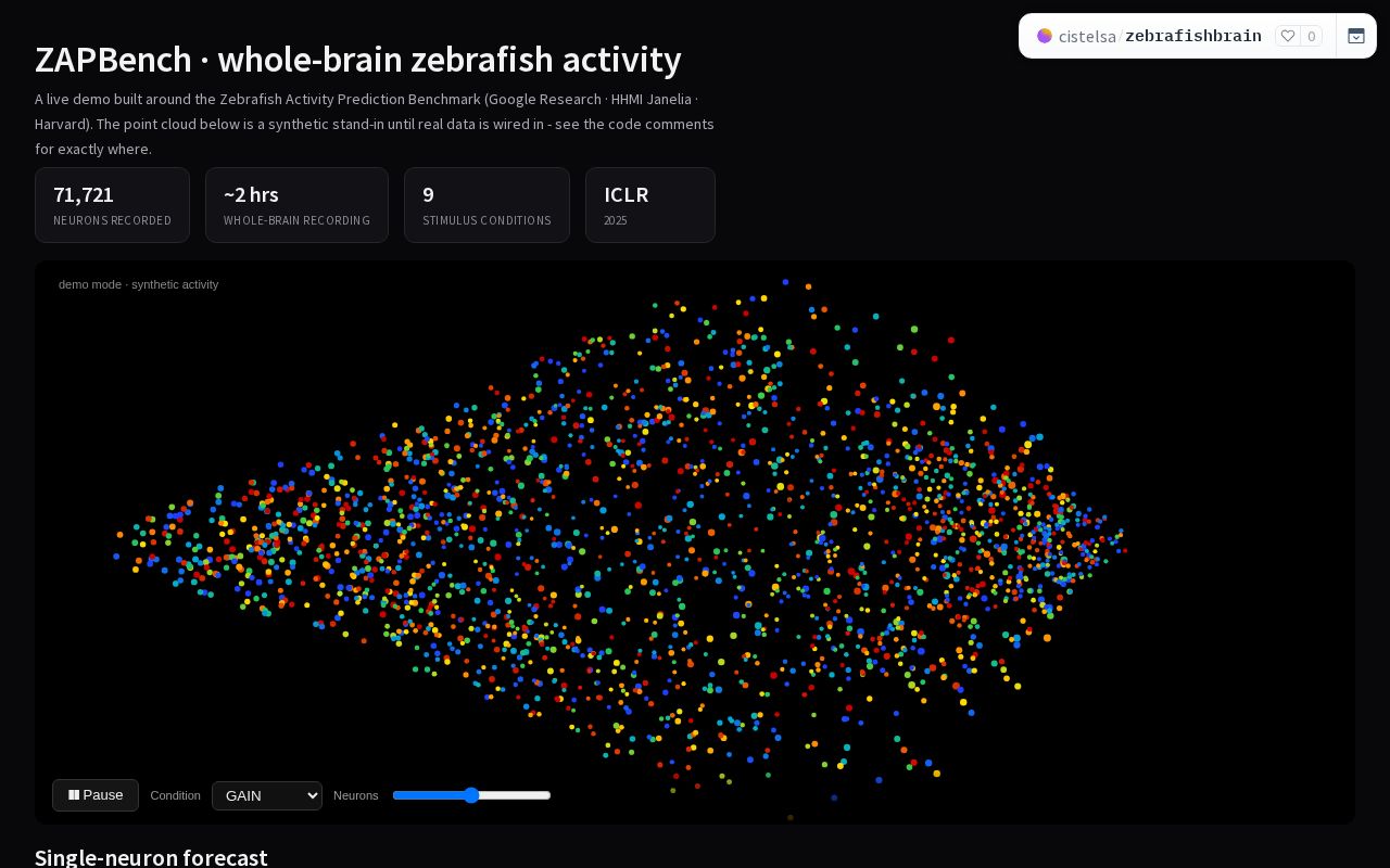 Preview of ZAPBench Forecasting Demo