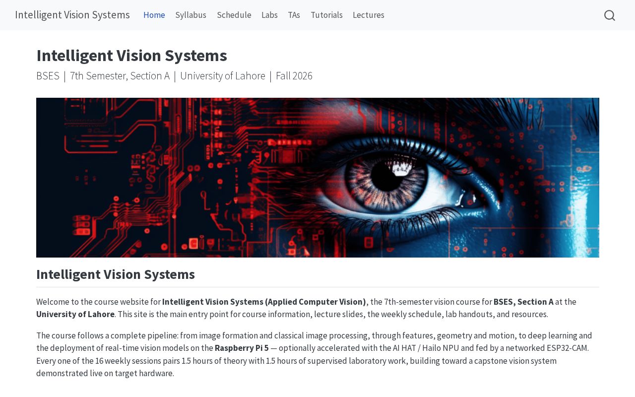 Preview of Intelligent Vision Systems