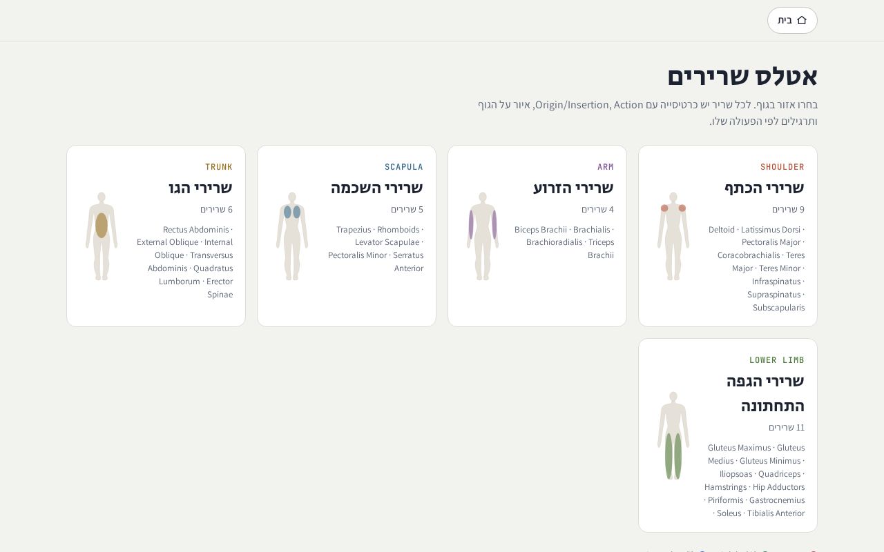 Preview of אטלס שרירים