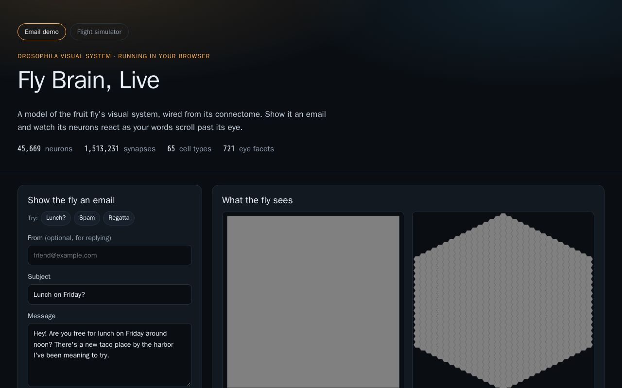 Preview of Flyvis Web