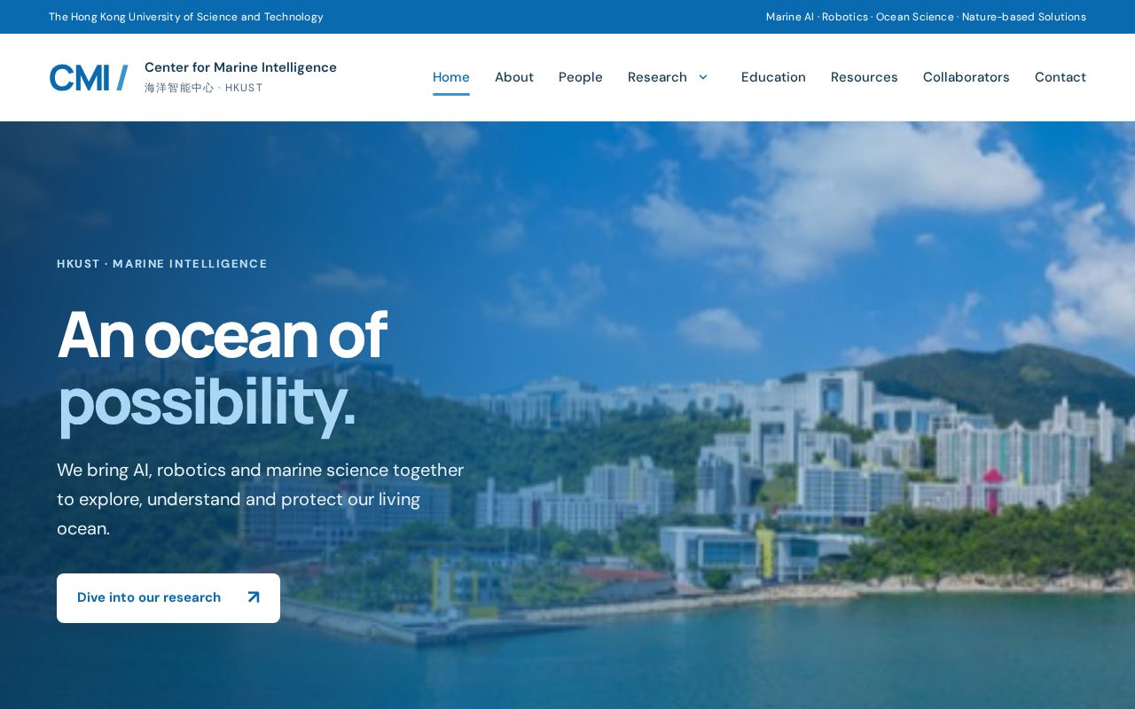 Preview of Cmi Page