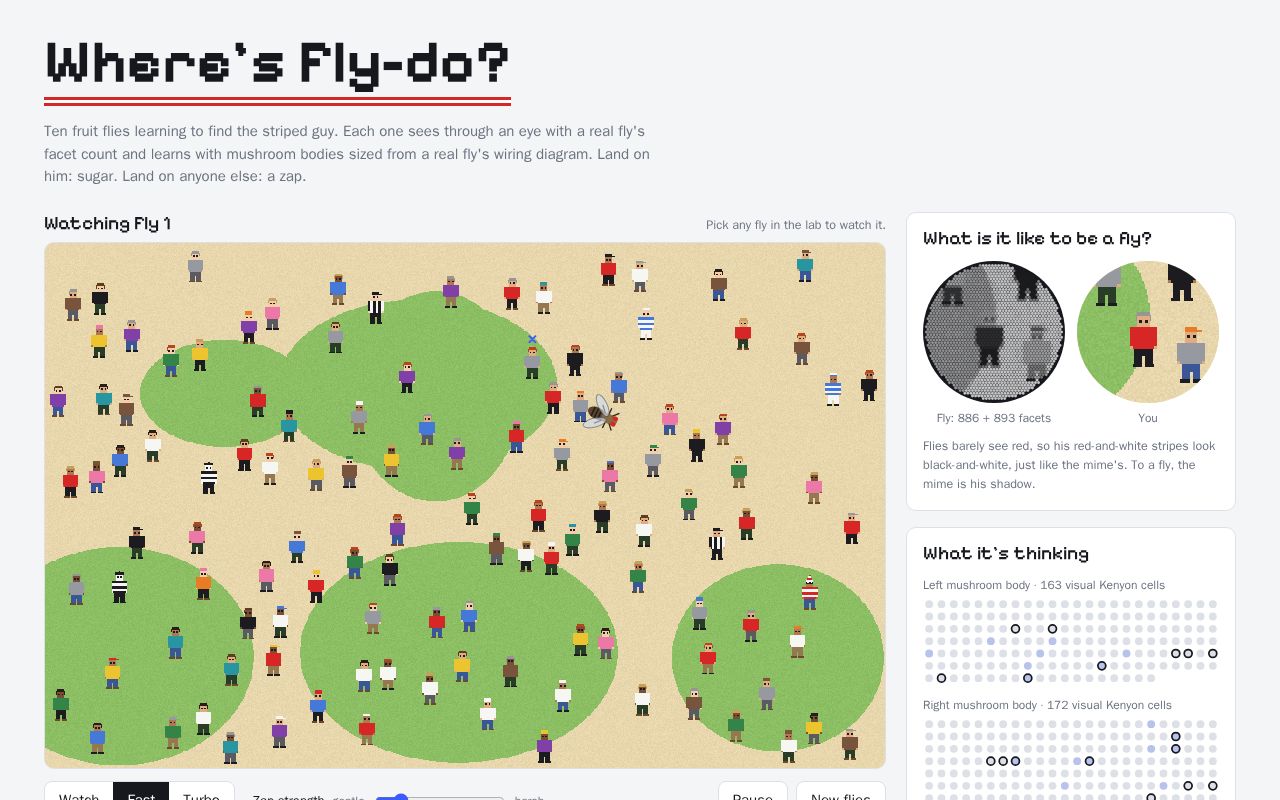 Preview of I trained the Fly to find the Waldo