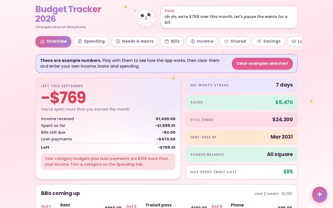 Preview of Budget