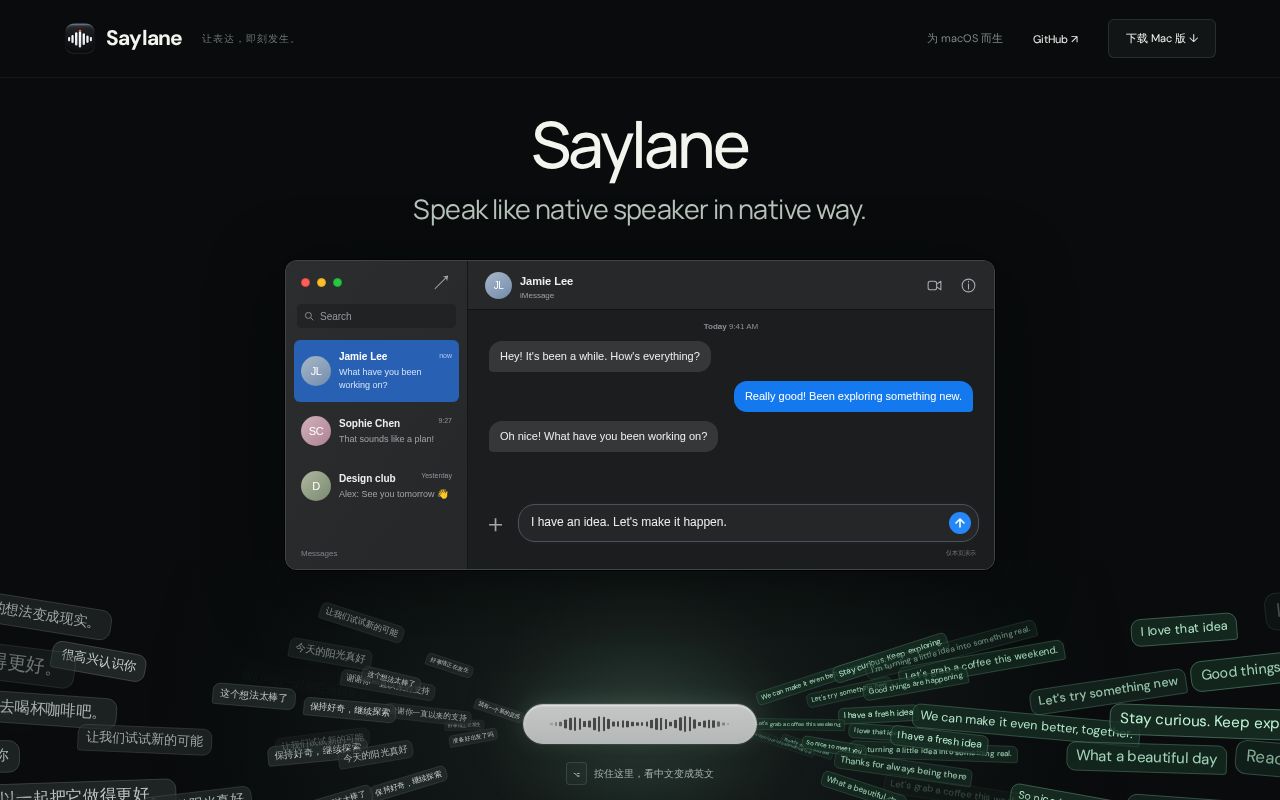 Preview of Saylane
