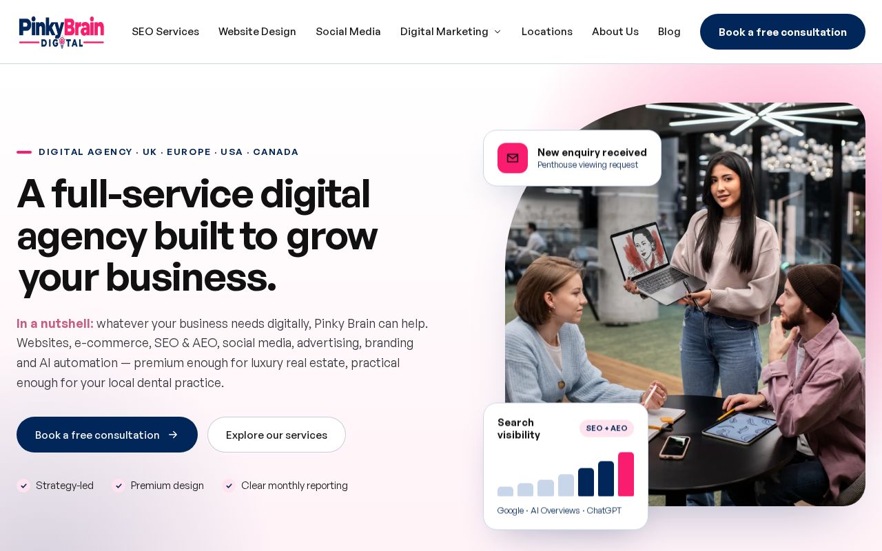 Preview of Pinkybraindigital