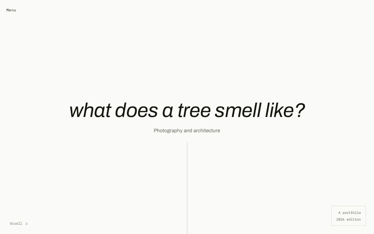 Preview of Whatdoesatreesmelllike
