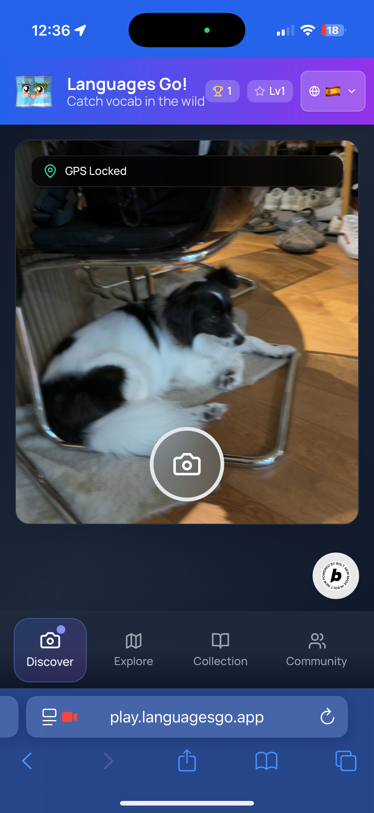 Preview of Languages Go - Language Learning Through Exploration