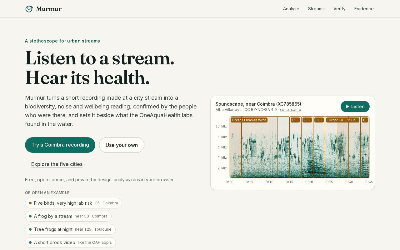 Preview of Murmur