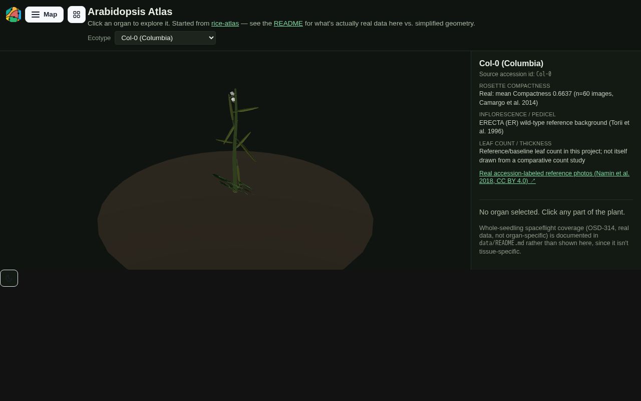 Preview of Arabidopsis Atlas