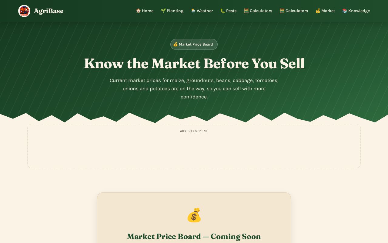 Preview of Market