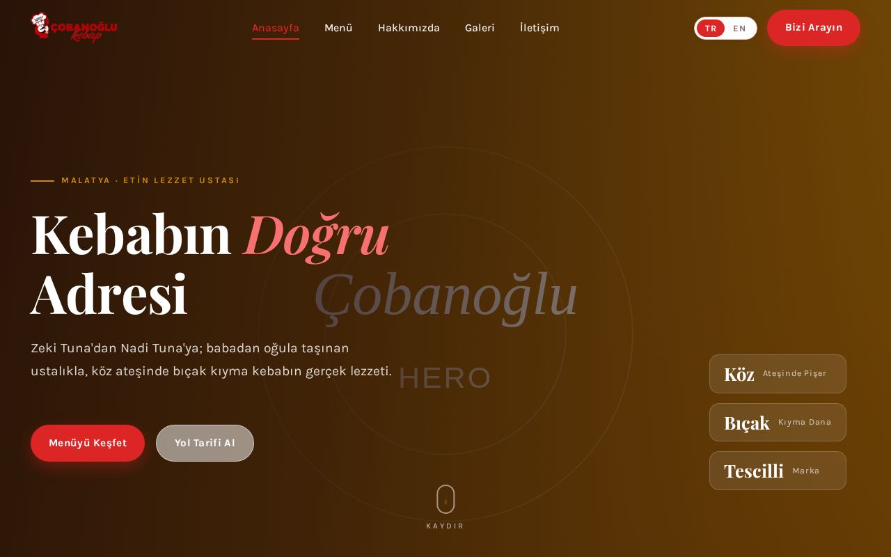 Preview of Cobanoglu