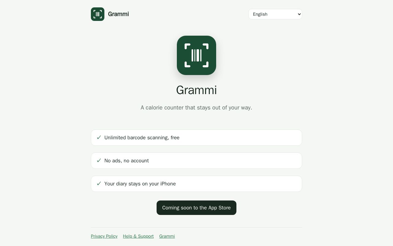 Preview of Grammiapp Github Io