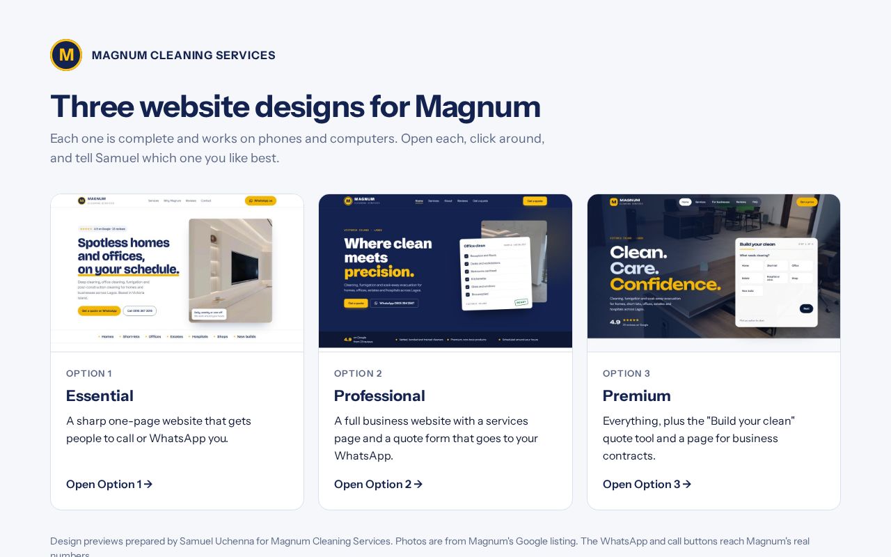 Preview of Magnum Cleaning Services: three website designs